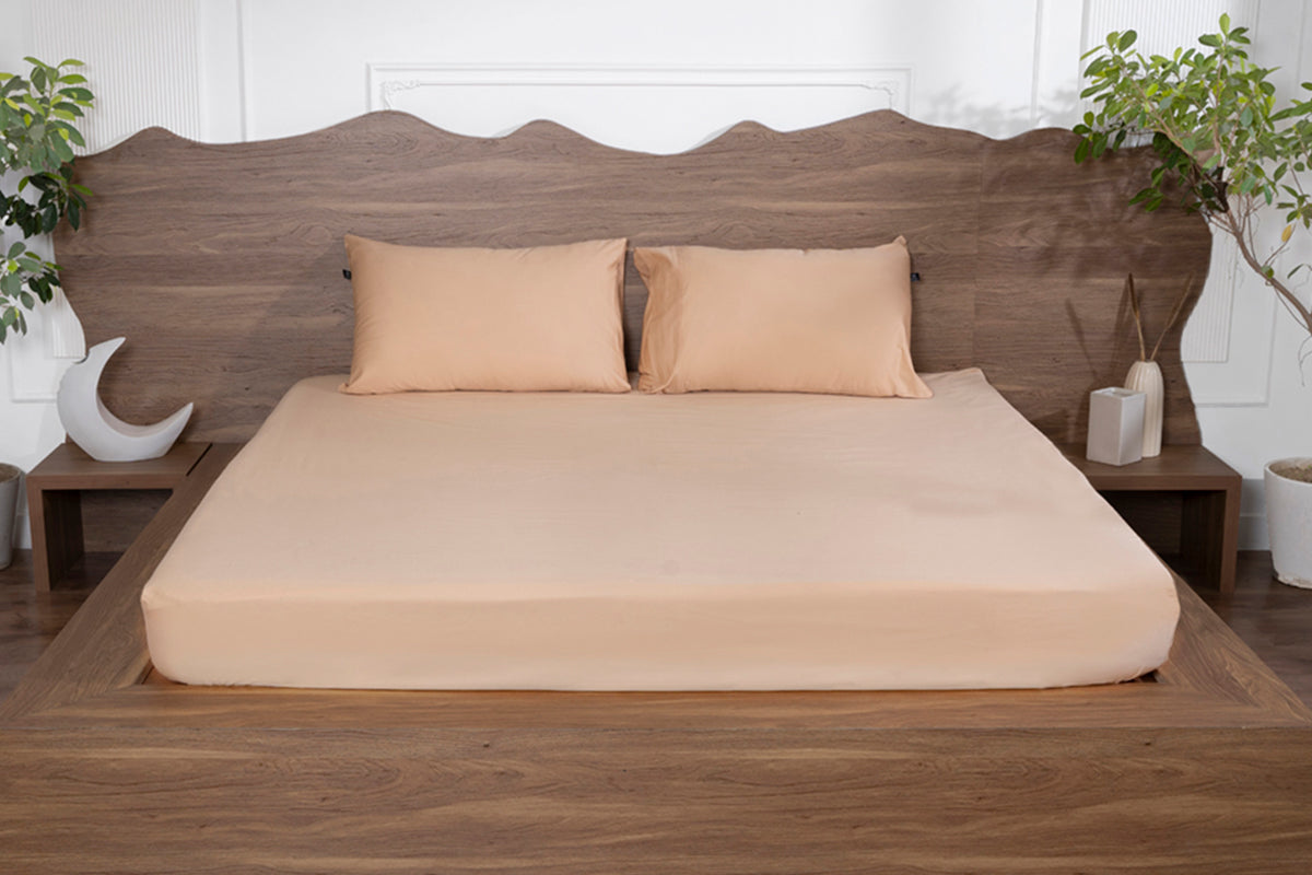 Biscotti Bliss Pure Cotton Solid Fitted Bed Sheet 500 TC