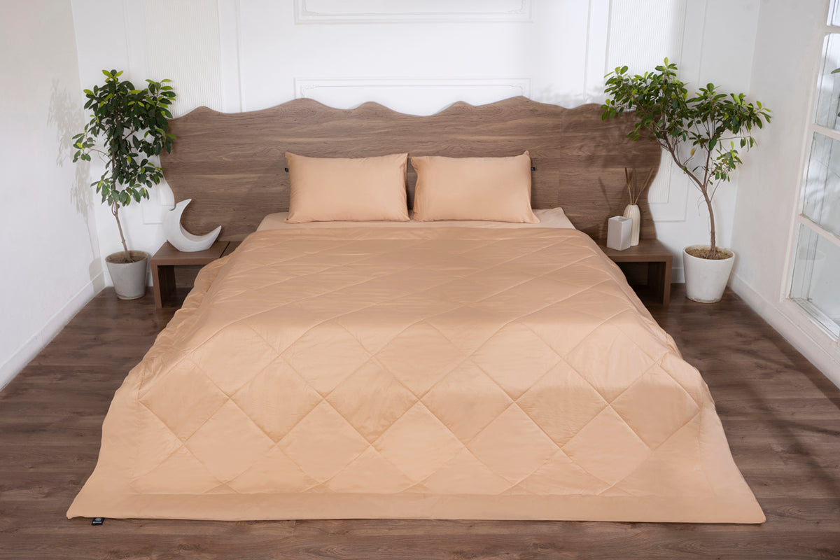 Biscotti Bliss All Season Premium Cotton Solid Comforter 300 TC
