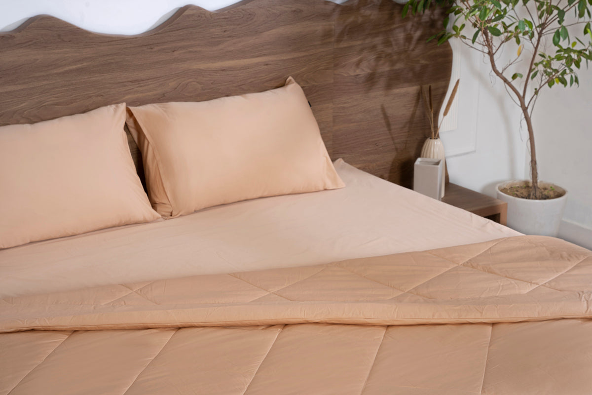 Biscotti Bliss All Season Premium Cotton Solid Comforter 300 TC