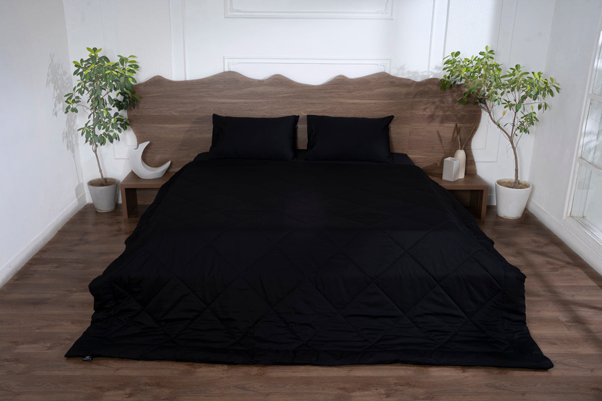 Black Onxy All Season Premium Cotton Solid Comforter 300 TC