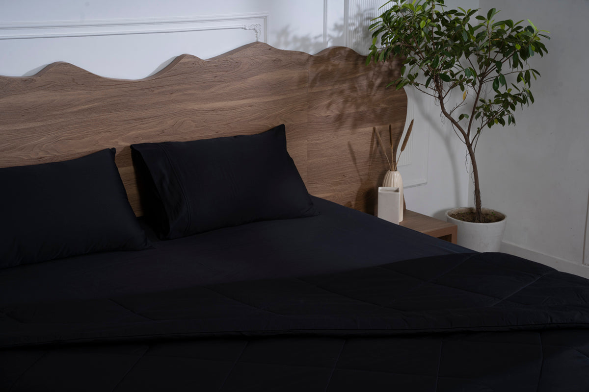 Black Onxy All Season Premium Cotton Solid Comforter 300 TC