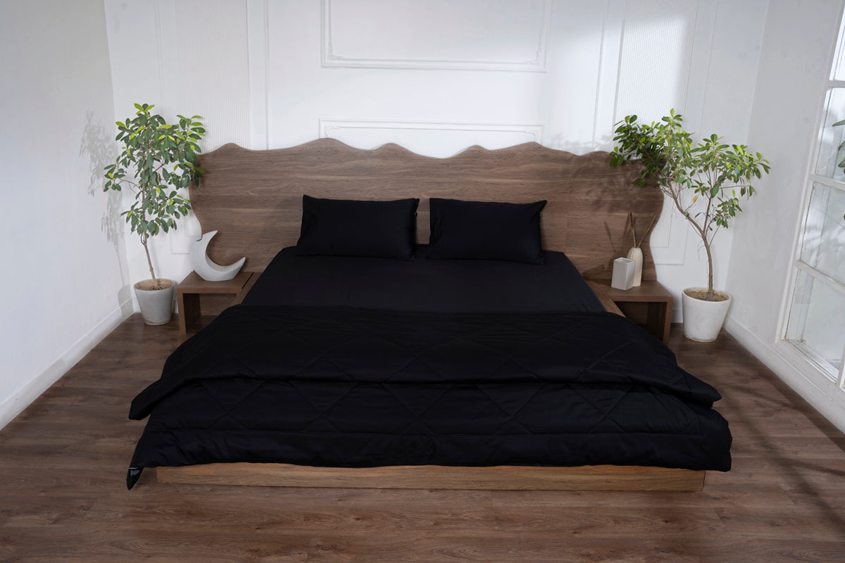 Black Onxy All Season Premium Cotton Solid Comforter 300 TC