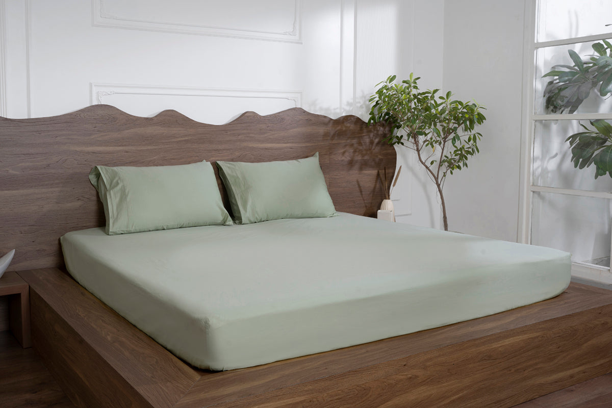 Minted Meadows Pure Cotton Solid Fitted Bed Sheet 500 TC
