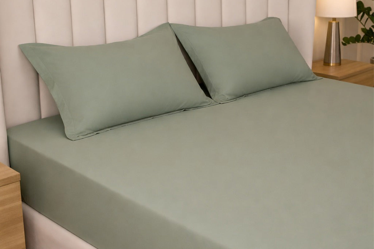 Minted Meadows Pure Cotton Solid Fitted Bed Sheet 300 TC