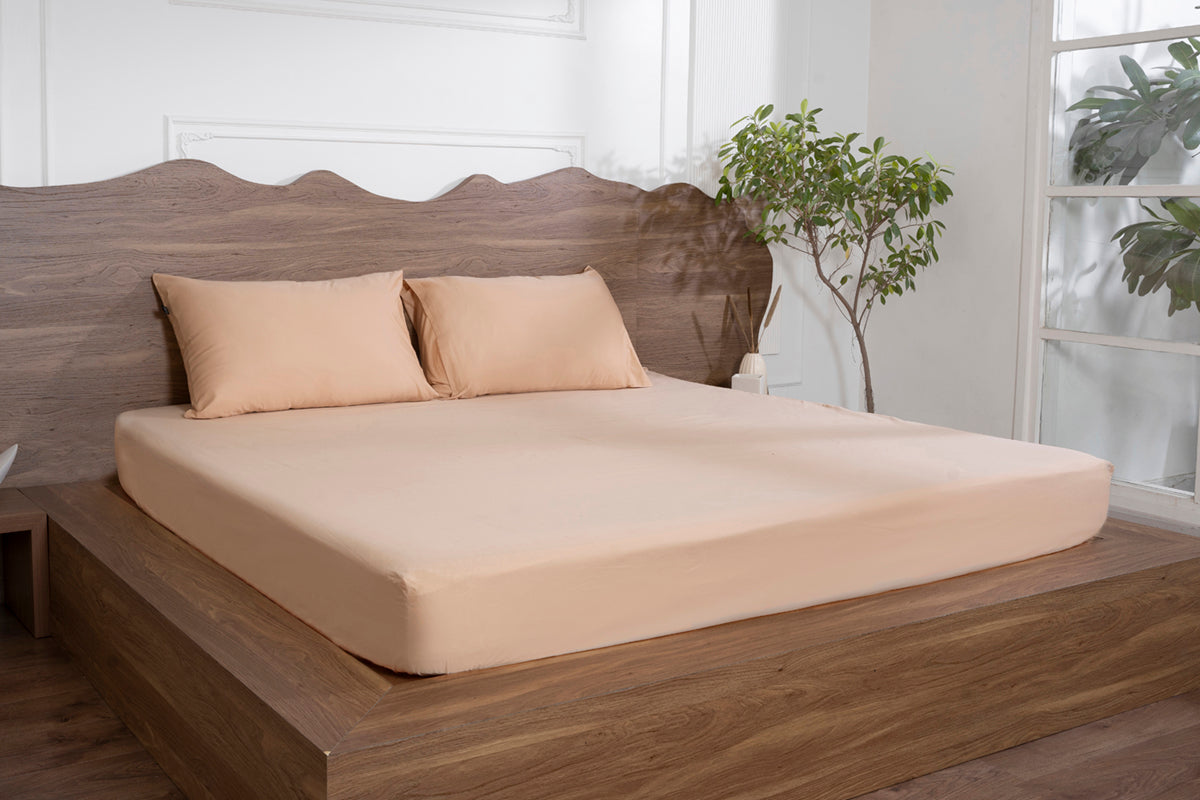 Biscotti Bliss Pure Cotton Solid Fitted Bed Sheet 500 TC
