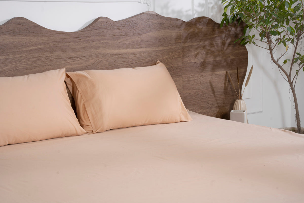 Biscotti Bliss Pure Cotton Solid Fitted Bed Sheet 500 TC