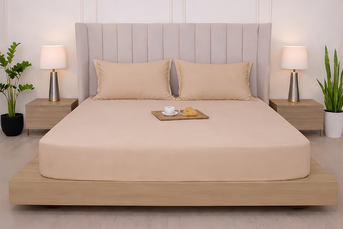 Biscotti Bliss Pure Cotton Solid Fitted Bed Sheet 300 TC