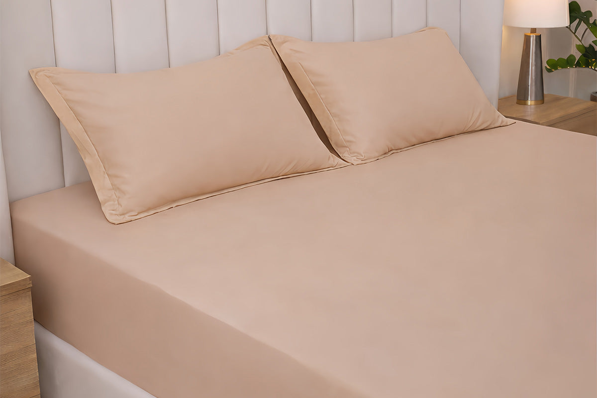 Biscotti Bliss Pure Cotton Solid Fitted Bed Sheet 300 TC