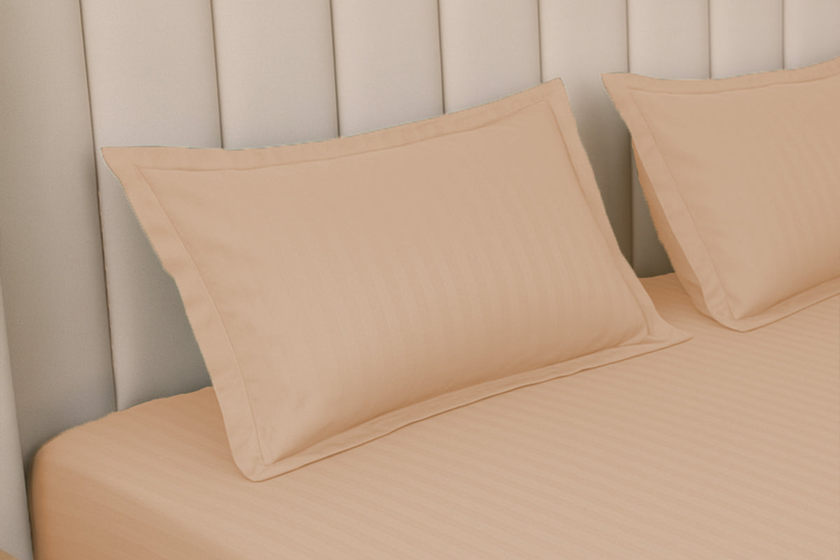 Biscotti Bliss Pure Cotton Striped Fitted Bed Sheet 300 TC