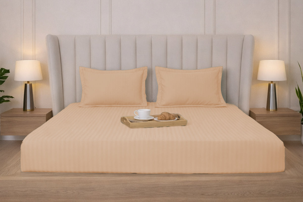 Biscotti Bliss Pure Cotton Striped Fitted Bed Sheet 300 TC