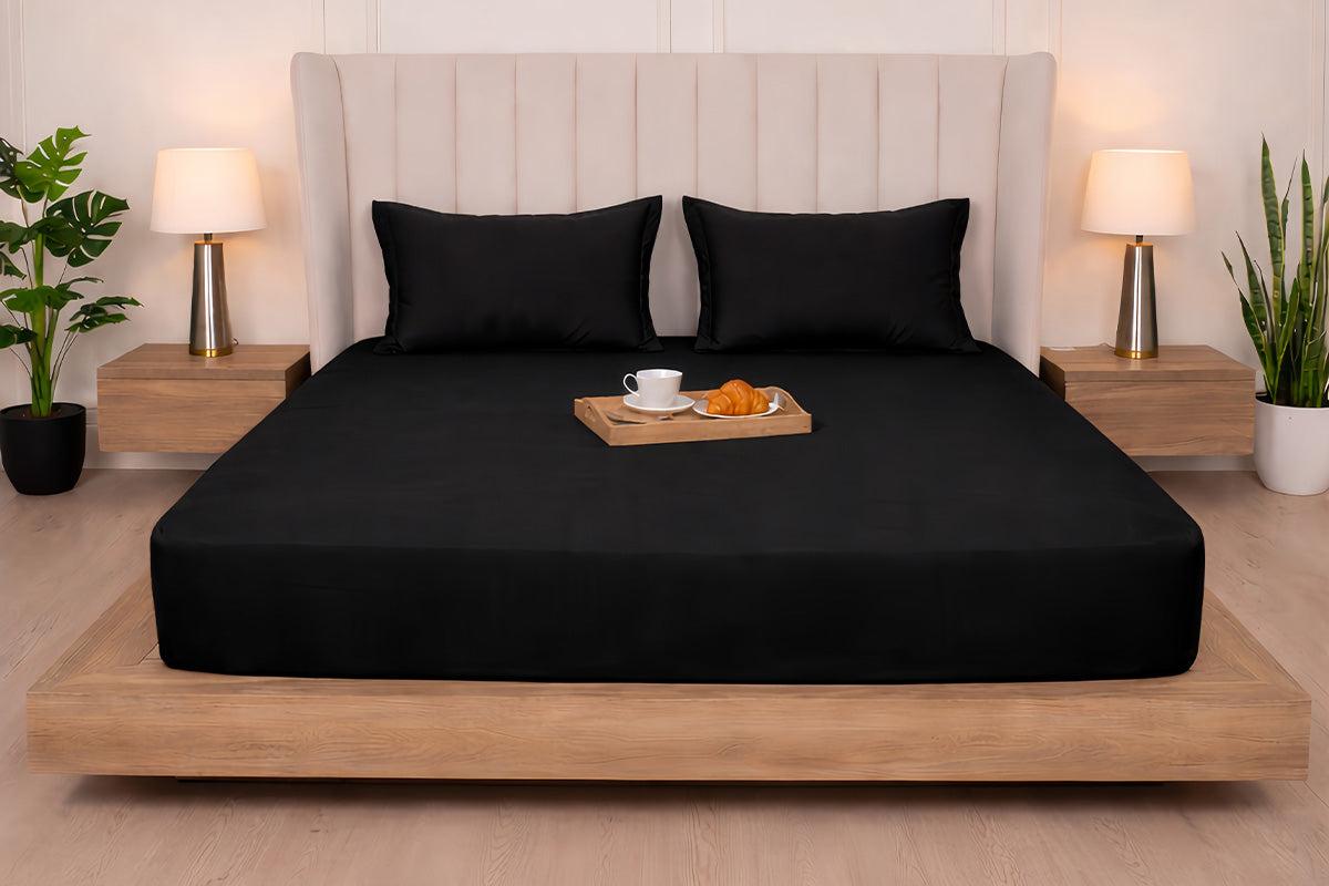 Black Onxy Pure Cotton Solid Fitted Bed Sheet 300 TC