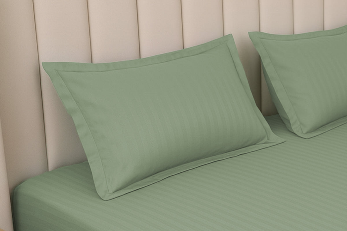 Minted Meadows Pure Cotton Striped Fitted Bed Sheet 300 TC